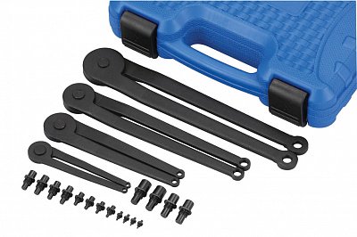 Набор ключей штифтовых регулируемых